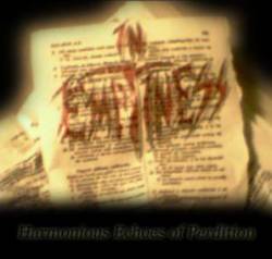 In Emptiness : Harmonious Echoes of Perdition